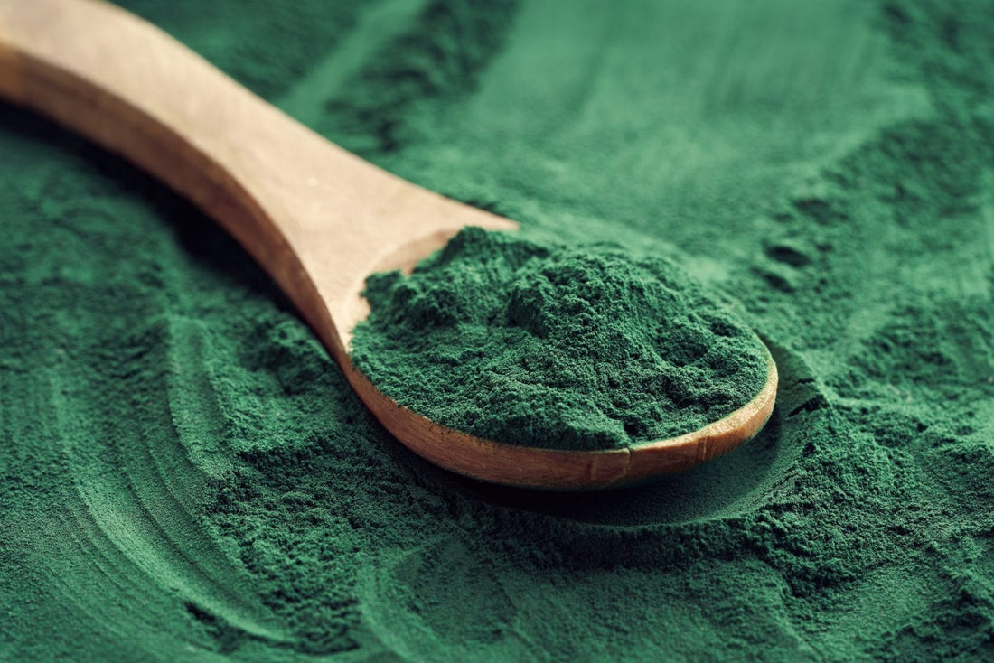 AN INTRODUCTION TO ALGAE: SPIRULINA