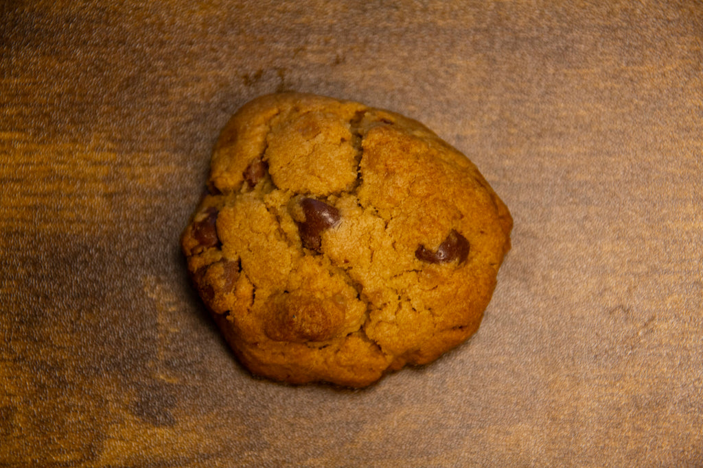 Chocolate Chip Algae Cookie