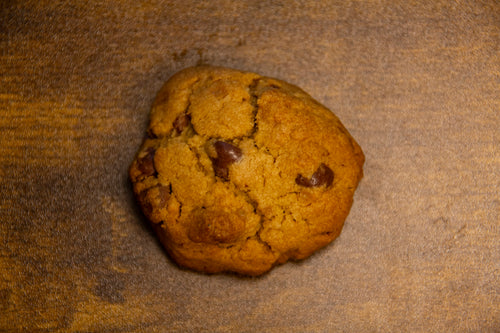 Chocolate Chip Algae Cookie